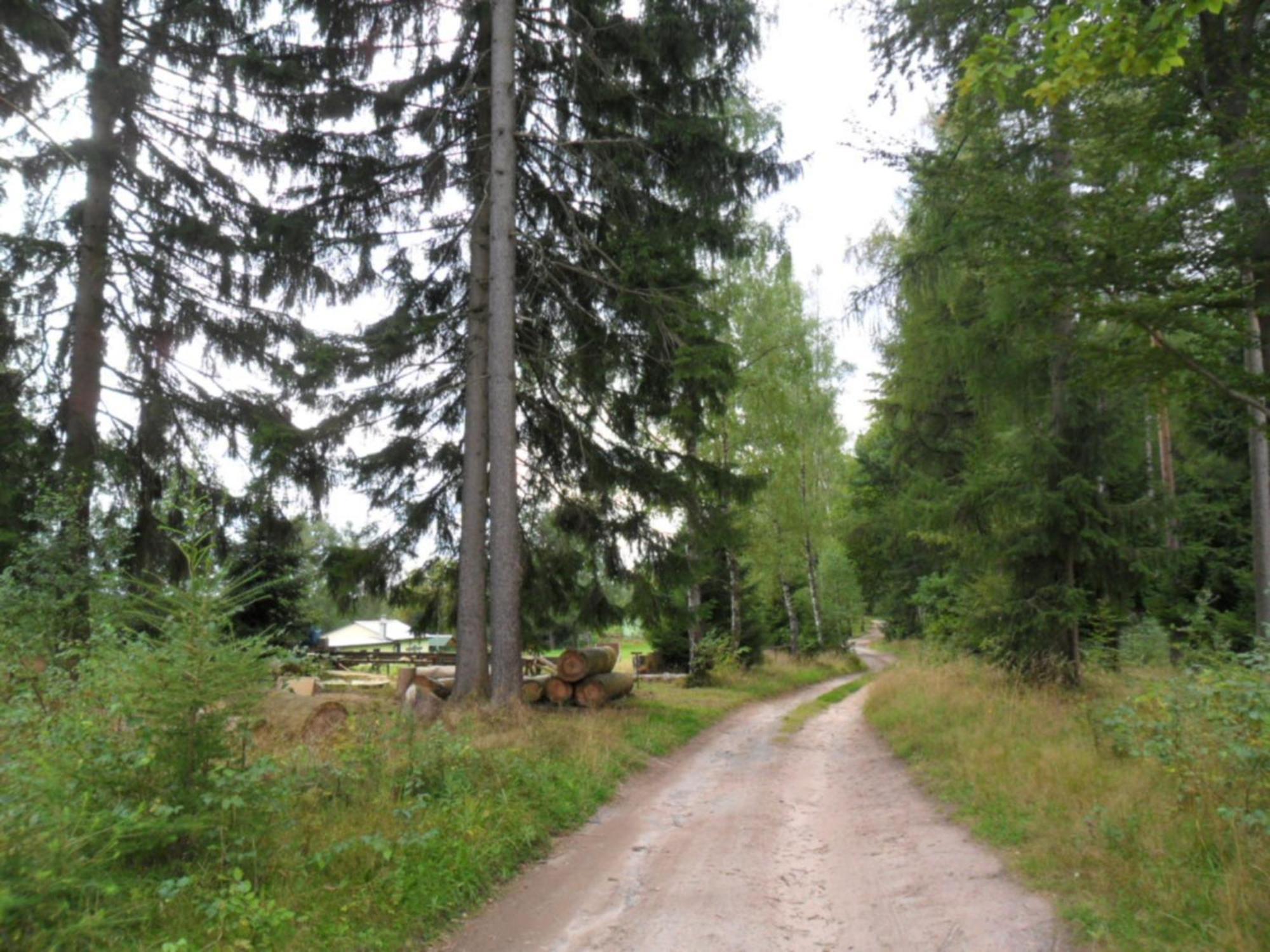 Villa Kleines Haus Am Wald à Benshausen Extérieur photo